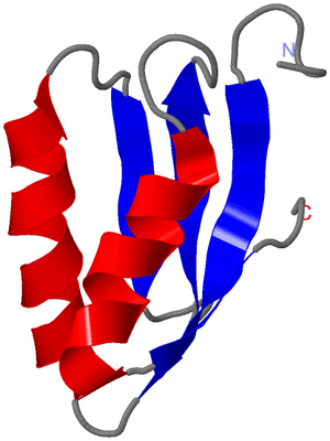 Image NMR Structure - model 1