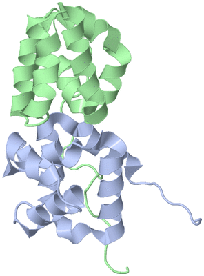 Image NMR Structure - model 1