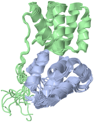 Image NMR Structure - all models