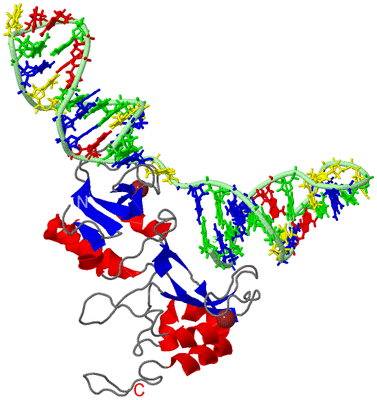 Image NMR Structure - model 1