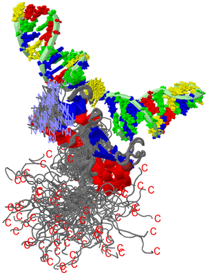 Image NMR Structure - all models