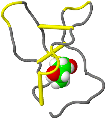 Image NMR Structure - model 1