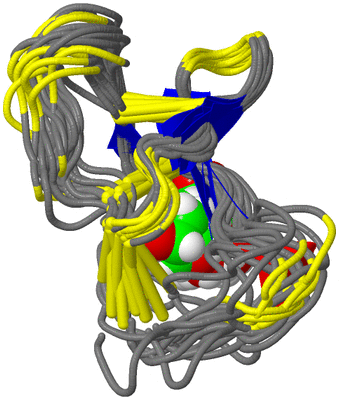 Image NMR Structure - all models