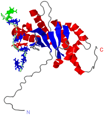 Image NMR Structure - model 1