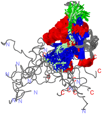 Image NMR Structure - all models