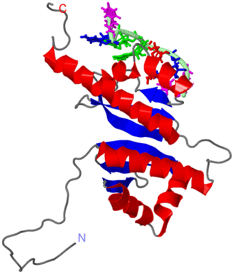 Image NMR Structure - model 1