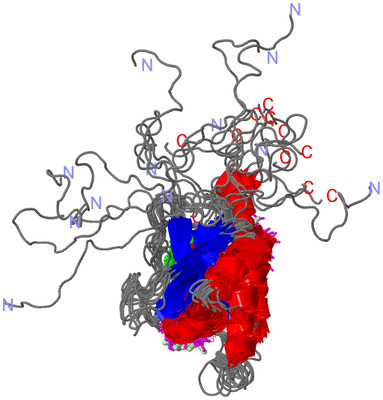 Image NMR Structure - all models