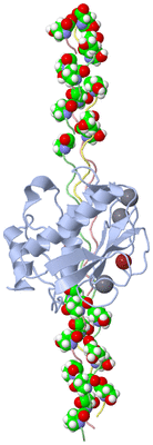 Image NMR Structure - model 1