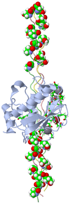 Image NMR Structure - model 1, sites