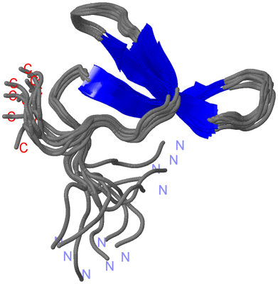 Image NMR Structure - all models