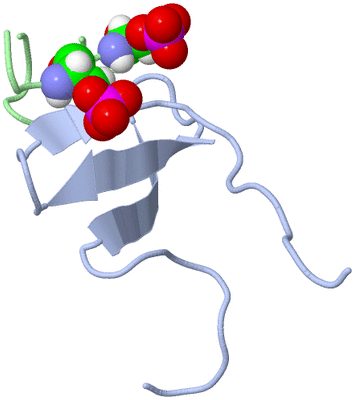 Image NMR Structure - model 1