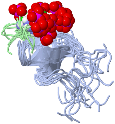 Image NMR Structure - all models