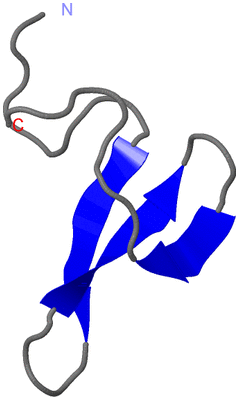 Image NMR Structure - model 1