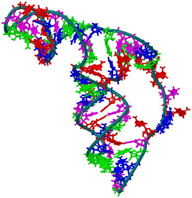 Image NMR Structure - model 1