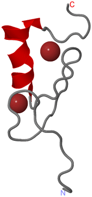 Image NMR Structure - model 1