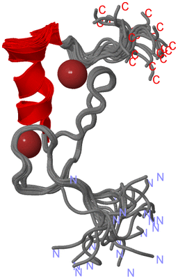 Image NMR Structure - all models