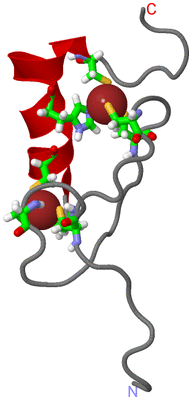 Image NMR Structure - model 1, sites