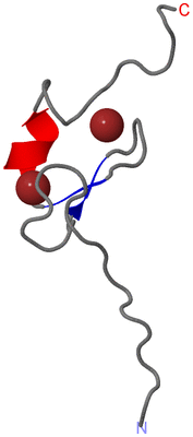 Image NMR Structure - model 1