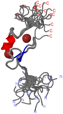 Image NMR Structure - all models