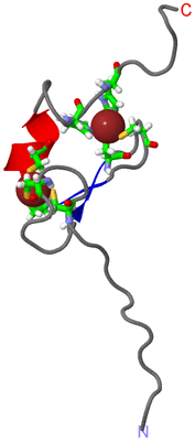 Image NMR Structure - model 1, sites