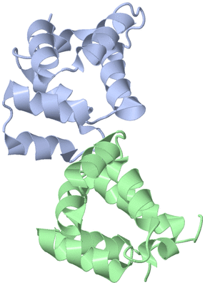 Image NMR Structure - model 1