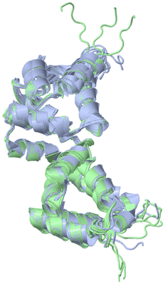 Image NMR Structure - all models