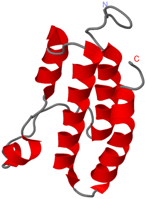 Image NMR Structure - model 1