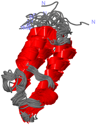 Image NMR Structure - all models