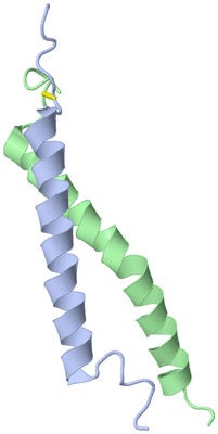 Image NMR Structure - model 1