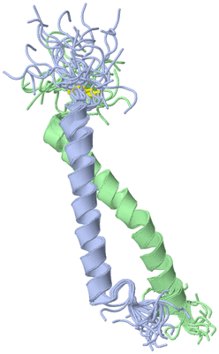 Image NMR Structure - all models