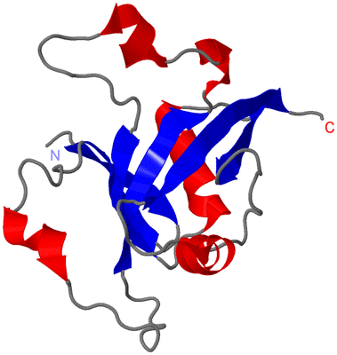 Image NMR Structure - model 1