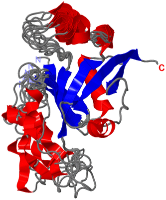 Image NMR Structure - all models