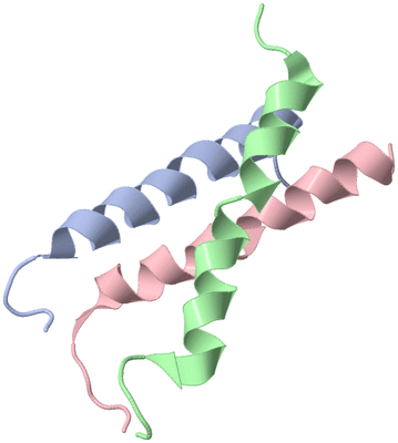 Image NMR Structure - model 1