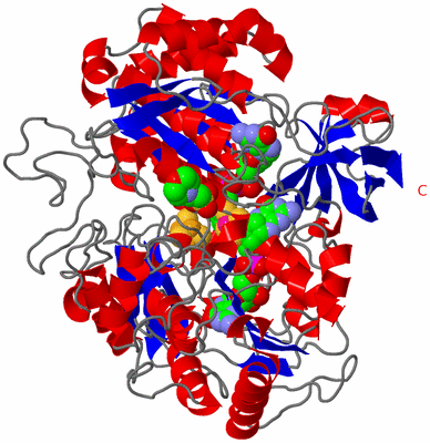 Image Asym./Biol. Unit