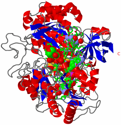 Image Asym./Biol. Unit - sites