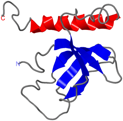 Image NMR Structure - model 1