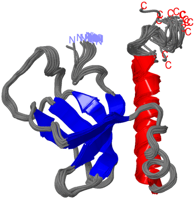 Image NMR Structure - all models