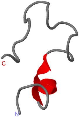 Image NMR Structure - model 1