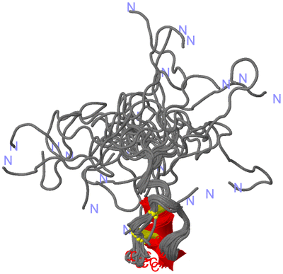 Image NMR Structure - all models