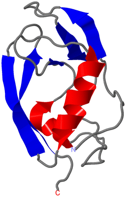 Image NMR Structure - model 1