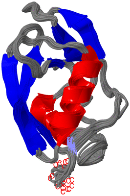 Image NMR Structure - all models