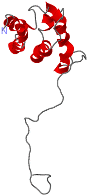 Image NMR Structure - model 1