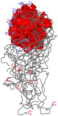 Image NMR Structure - all models