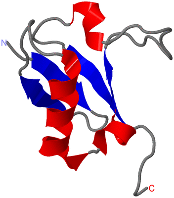 Image NMR Structure - model 1