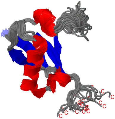 Image NMR Structure - all models