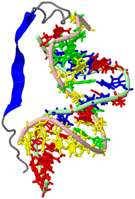 Image NMR Structure - model 1