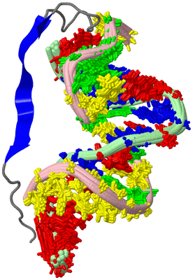 Image NMR Structure - all models