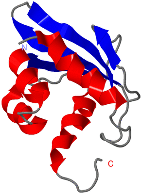 Image NMR Structure - model 1