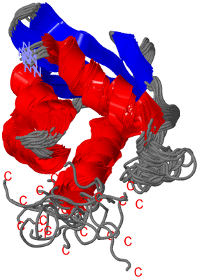 Image NMR Structure - all models