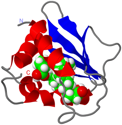 Image NMR Structure - model 1